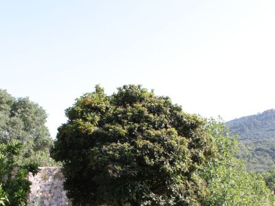 Apartment Studio flat with terrace Sali, Dugi otok AS-8136-a - Outdoor photo 5