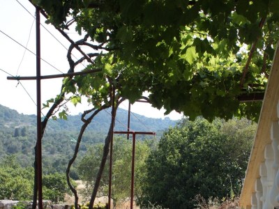 Apartment Studio flat with terrace Sali, Dugi otok AS-8136-a - Outdoor photo 7