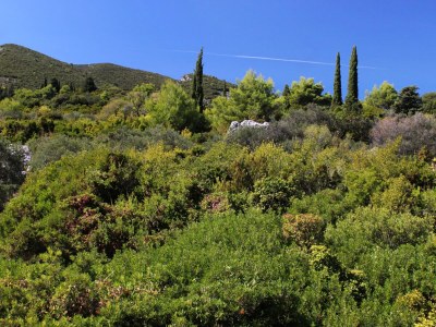 Apartment Two bedroom apartment near beach Kneža, Korčula A-9185-a - Outdoor photo 36