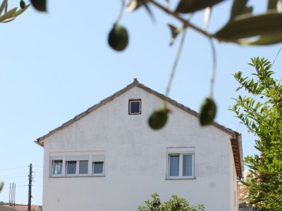 Apartment Three bedroom apartment near beach Tkon, Pašman A-8244-b - Outdoor photo 4