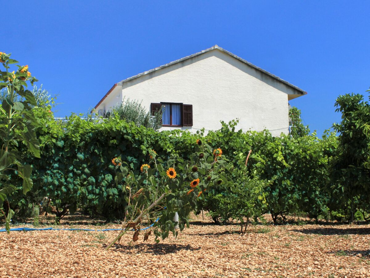 Apartment Two bedroom apartment with terrace and sea view Trogir A-9209-a - Outdoor photo 4