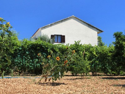 Apartment Two bedroom apartment with terrace and sea view Trogir A-9209-a - Outdoor photo 4
