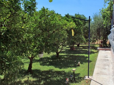 Apartment Two bedroom apartment with terrace and sea view Trogir A-9209-a - Outdoor photo 9