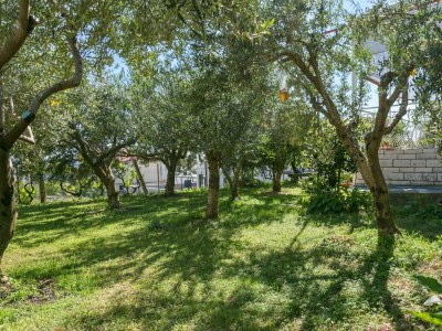 Apartment Two bedroom apartment with terrace and sea view Trogir A-9209-a - Outdoor photo 11