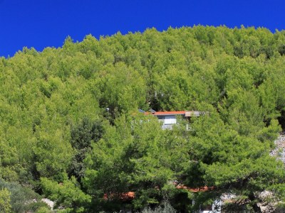Holiday house One bedroom house near beach Cove Bratinja Luka, Korčula K-9224 - Outdoor photo 3