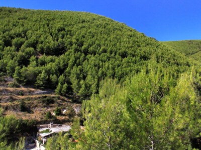 Holiday house One bedroom house near beach Cove Bratinja Luka, Korčula K-9224 - Outdoor photo 16