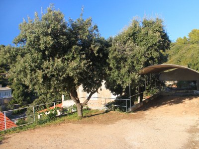Holiday house Comfortable and spacious house near beach Cove Stratinčica, Korčula K-9265 - Outdoor photo 18