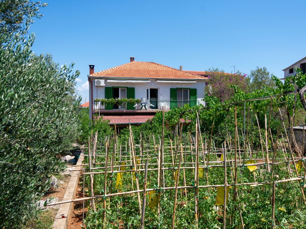 Apartment Three bedroom apartment with balcony Kraj, Pašman A-8457-a