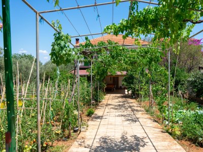 Apartment Three bedroom apartment with balcony Kraj, Pašman A-8457-a - Outdoor photo 11