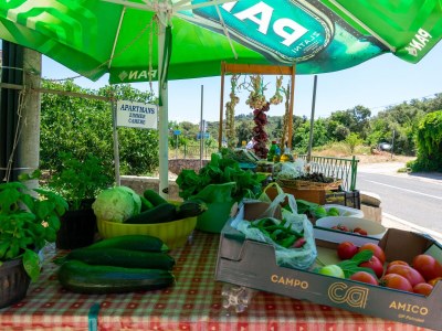 Apartment Three bedroom apartment with balcony Kraj, Pašman A-8457-a - Outdoor photo 12