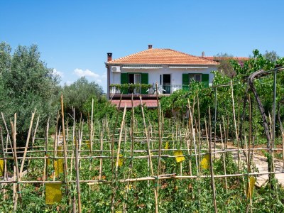 Apartment Three bedroom apartment with balcony Kraj, Pašman A-8457-a - Outdoor photo 47