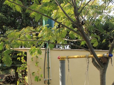 Apartment Two bedroom apartment with terrace Ugljan A-8479-a - Outdoor photo 10