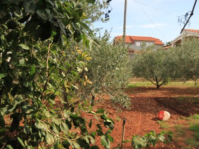 Apartment Two bedroom apartment with terrace Ugljan A-8479-a - Outdoor photo 37