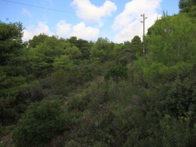 Apartment Two bedroom apartment with terrace and sea view Rukavac, Vis A-8489-a - Outdoor photo 29
