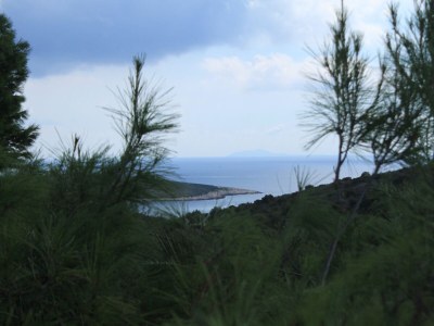 Apartment Two bedroom apartment with terrace and sea view Rukavac, Vis A-8489-a - Outdoor photo 33