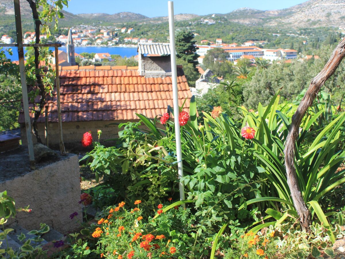 Apartment Two bedroom apartment with terrace and sea view Slano, Dubrovnik A-8540-a - Outdoor photo 5