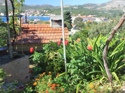 Apartment Two bedroom apartment with terrace and sea view Slano, Dubrovnik A-8540-a - Outdoor photo 5