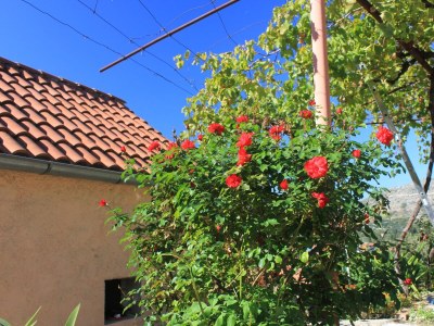 Apartment Two bedroom apartment with terrace and sea view Slano, Dubrovnik A-8540-a - Outdoor photo 6
