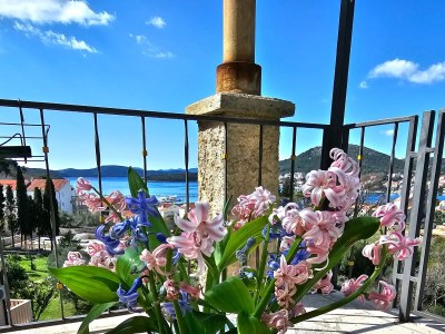 Apartment Two bedroom apartment with terrace and sea view Slano, Dubrovnik A-8540-a - Outdoor photo 32