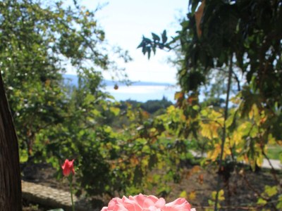 Apartment Three bedroom apartment with terrace Brsečine, Dubrovnik A-8549-a - Outdoor photo 6