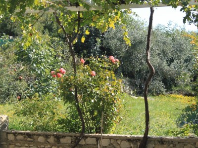 Apartment Three bedroom apartment with terrace Brsečine, Dubrovnik A-8549-a - Outdoor photo 25