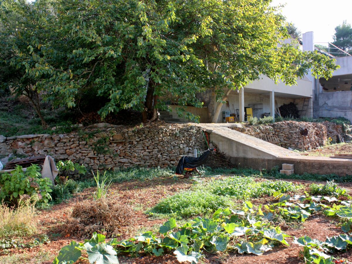 Apartment One bedroom apartment near beach Basina, Hvar A-9673-a - Outdoor photo 2