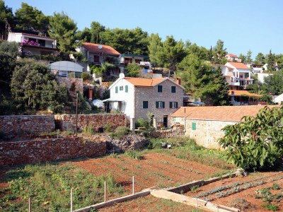 Apartment One bedroom apartment near beach Basina, Hvar A-9673-a - Outdoor photo 19