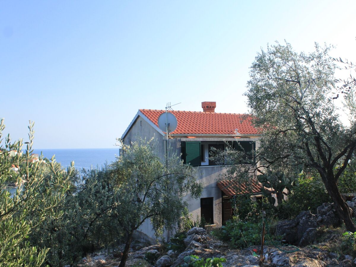 Apartment One bedroom apartment with balcony and sea view Molunat, Dubrovnik A-8550-a - Outdoor photo 3