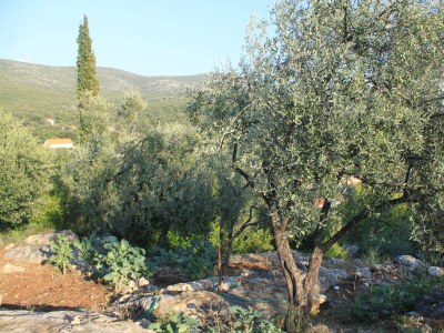 Apartment One bedroom apartment with balcony and sea view Molunat, Dubrovnik A-8550-a - Outdoor photo 7