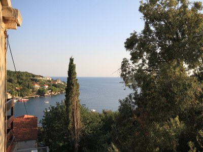 Apartment One bedroom apartment with balcony and sea view Molunat, Dubrovnik A-8550-a - Outdoor photo 26
