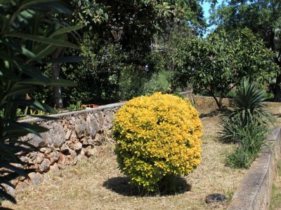 Apartment Apartments with parking space Stari Grad, Hvar - 8697 - Outdoor photo 10