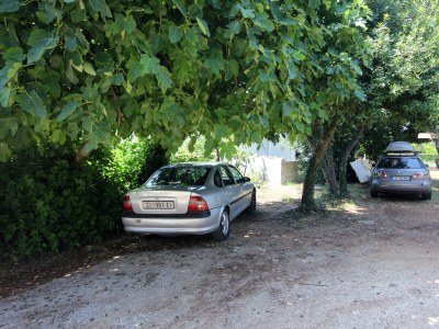 Apartment One bedroom apartment with balcony Orebić, Pelješac A-10190-a - Outdoor photo 6