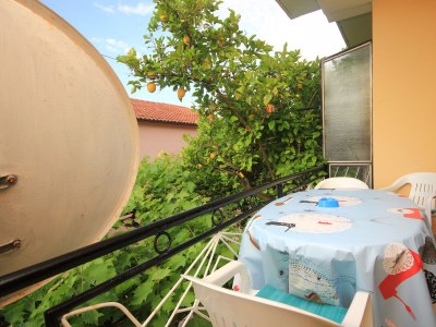 Apartment One bedroom apartment with balcony Orebić, Pelješac A-10190-a - Outdoor photo 17