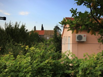 Apartment One bedroom apartment with balcony Orebić, Pelješac A-10190-a - Outdoor photo 18