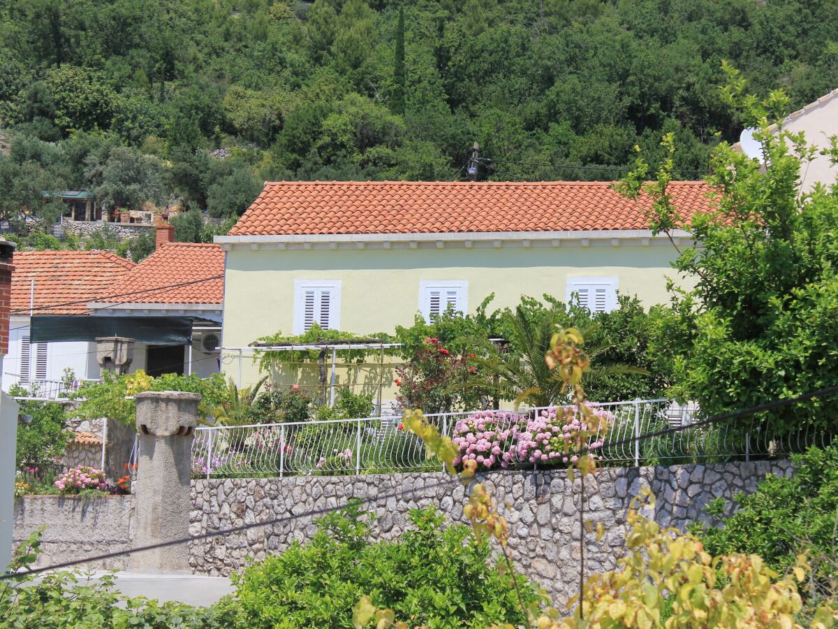 Apartment Three bedroom apartment with terrace Trsteno, Dubrovnik A-9015-a - Outdoor photo 2