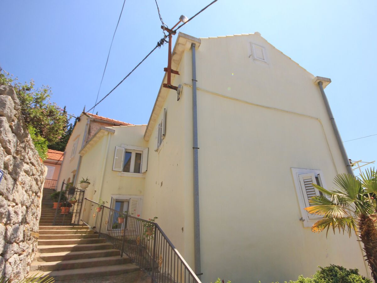 Apartment Three bedroom apartment with terrace Trsteno, Dubrovnik A-9015-a - Outdoor photo 3