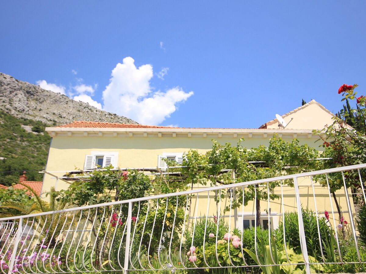 Apartment Three bedroom apartment with terrace Trsteno, Dubrovnik A-9015-a - Outdoor photo 4