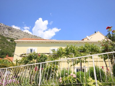 Apartment Three bedroom apartment with terrace Trsteno, Dubrovnik A-9015-a - Outdoor photo 4