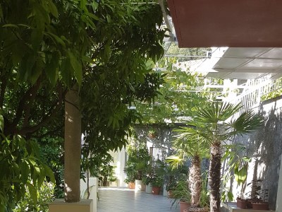 Apartment Three bedroom apartment with terrace Trsteno, Dubrovnik A-9015-a - Outdoor photo 9