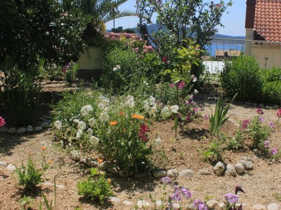 Apartment Three bedroom apartment with terrace Trsteno, Dubrovnik A-9015-a - Outdoor photo 10