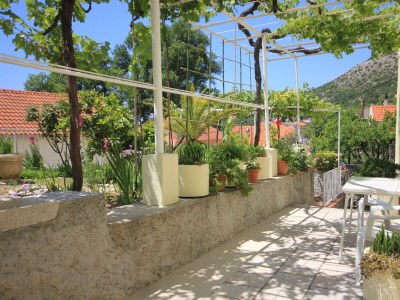 Apartment Three bedroom apartment with terrace Trsteno, Dubrovnik A-9015-a - Outdoor photo 36