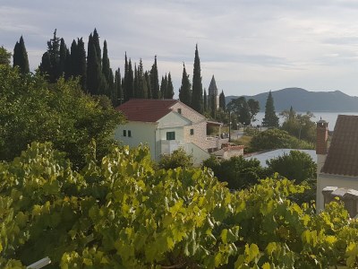 Apartment Three bedroom apartment with terrace Trsteno, Dubrovnik A-9015-a - Outdoor photo 41