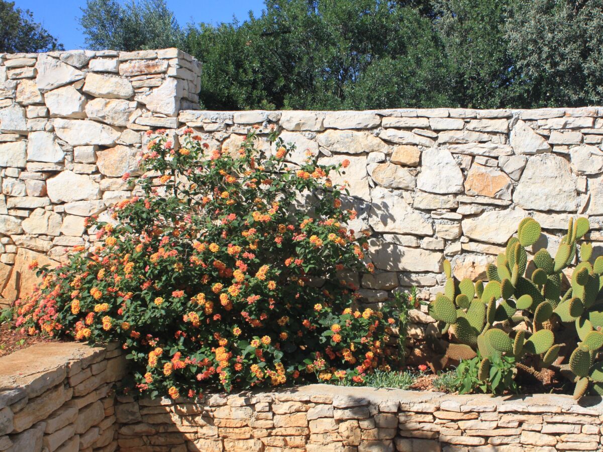 Apartment Two bedroom apartment with terrace Rukavac, Vis A-8836-a - Outdoor photo 5