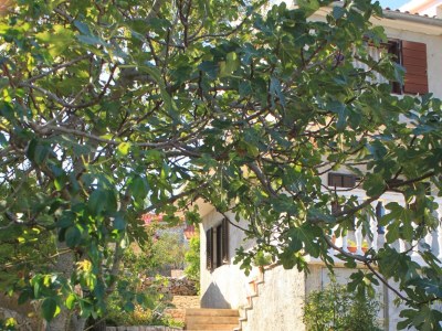 Apartment Two bedroom apartment with terrace Rukavac, Vis A-8836-a - Outdoor photo 8