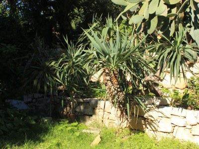 Holiday house Two bedroom house near beach Cove Rogačić, Vis K-8886 - Outdoor photo 7