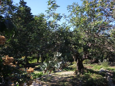 Holiday house One bedroom house near beach Cove Rogačić, Vis K-8887 - Outdoor photo 20