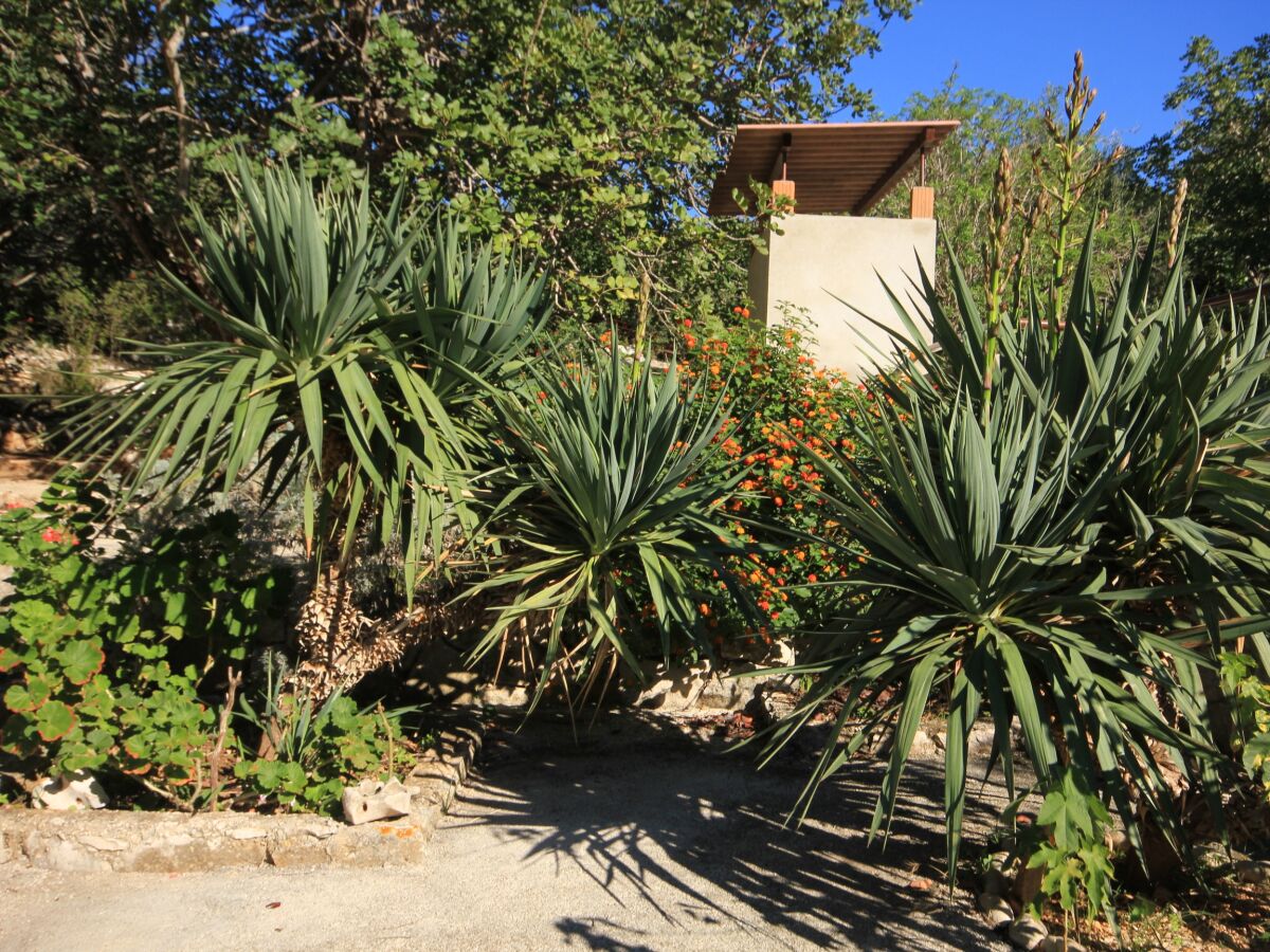 Holiday house One bedroom house with terrace Cove Rogačić, Vis K-8889 - Outdoor photo 4