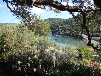 Holiday house Three bedroom house near beach Cove Parja, Vis K-8892 - Outdoor photo 8