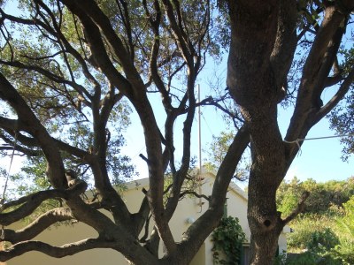 Holiday house Three bedroom house near beach Cove Parja, Vis K-8892 - Outdoor photo 11