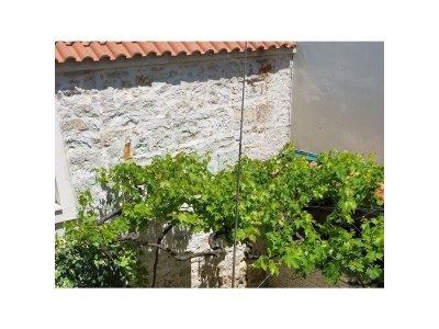 Apartment Two bedroom apartment with air-conditioning Kukljica, Ugljan A-11584-a - Outdoor photo 7